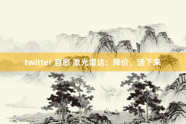 twitter 自慰 激光雷达：降价，活下来