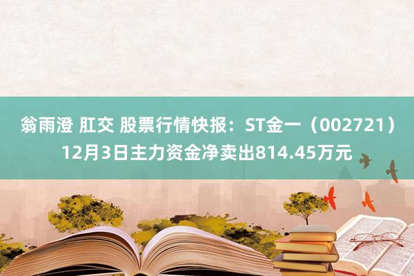 翁雨澄 肛交 股票行情快报：ST金一（002721）12月3日主力资金净卖出814.45万元