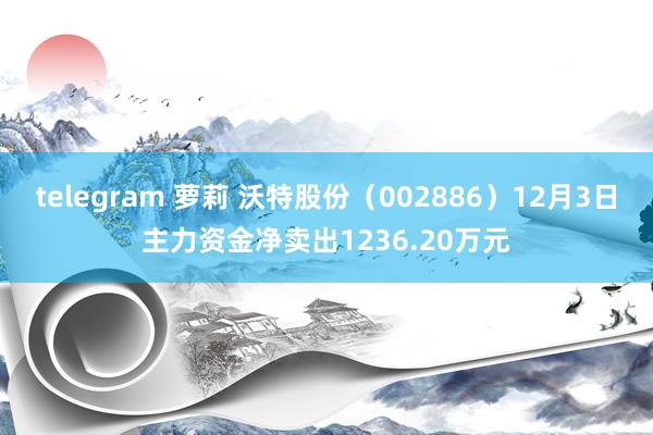 telegram 萝莉 沃特股份（002886）12月3日主力资金净卖出1236.20万元