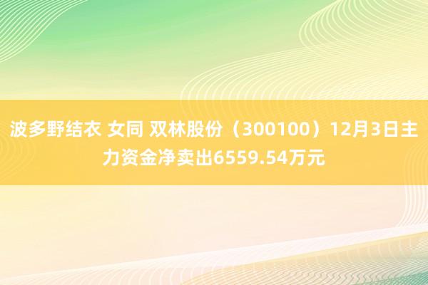 波多野结衣 女同 双林股份（300100）12月3日主力资金净卖出6559.54万元