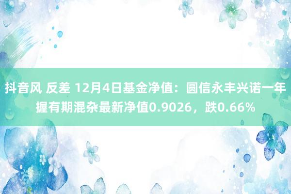 抖音风 反差 12月4日基金净值：圆信永丰兴诺一年握有期混杂最新净值0.9026，跌0.66%