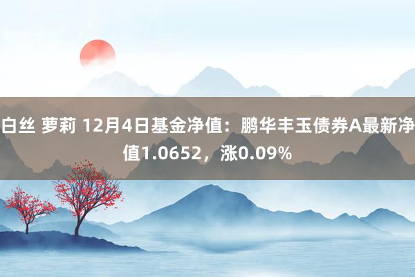 白丝 萝莉 12月4日基金净值：鹏华丰玉债券A最新净值1.0652，涨0.09%