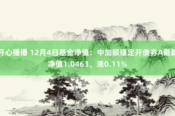 开心播播 12月4日基金净值：中加颐瑾定开债券A最新净值1.0463，涨0.11%