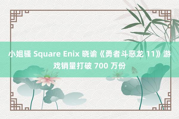 小姐骚 Square Enix 晓谕《勇者斗恶龙 11》游戏销量打破 700 万份