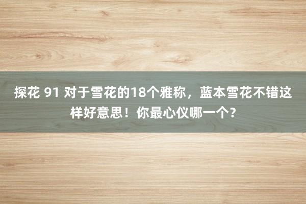 探花 91 对于雪花的18个雅称，蓝本雪花不错这样好意思！你最心仪哪一个？