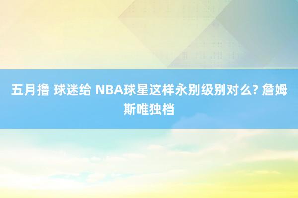 五月撸 球迷给 NBA球星这样永别级别对么? 詹姆斯唯独档