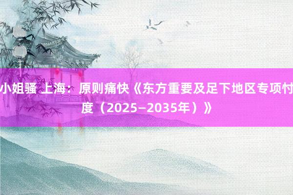 小姐骚 上海：原则痛快《东方重要及足下地区专项忖度（2025—2035年）》