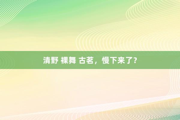 清野 裸舞 古茗，慢下来了？