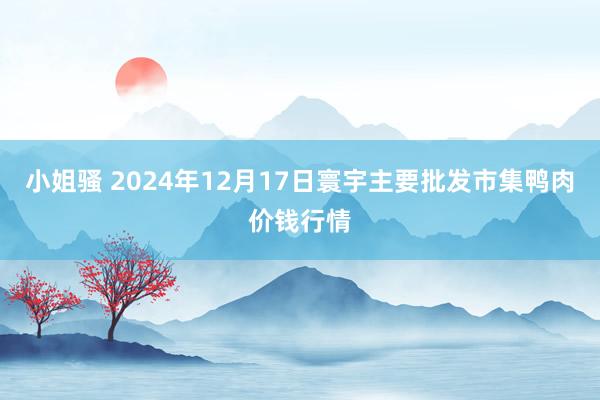 小姐骚 2024年12月17日寰宇主要批发市集鸭肉价钱行情