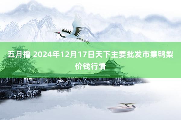 五月撸 2024年12月17日天下主要批发市集鸭梨价钱行情