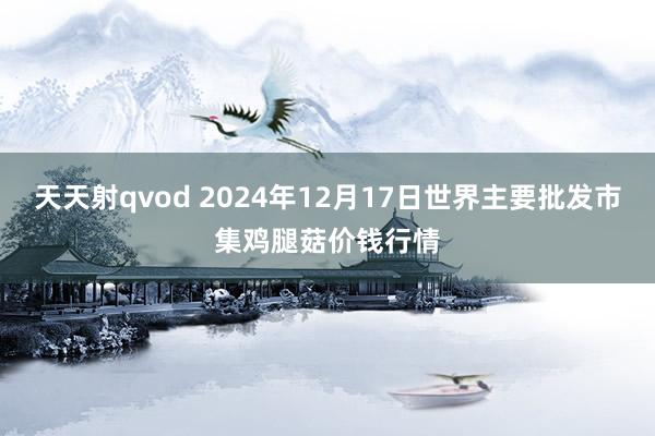 天天射qvod 2024年12月17日世界主要批发市集鸡腿菇价钱行情