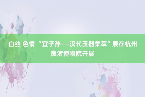 白丝 色情 “宜子孙——汉代玉器集萃”展在杭州良渚博物院开展