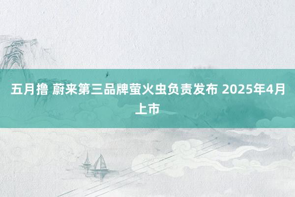 五月撸 蔚来第三品牌萤火虫负责发布 2025年4月上市