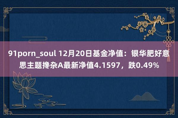 91porn_soul 12月20日基金净值：银华肥好意思主题搀杂A最新净值4.1597，跌0.49%