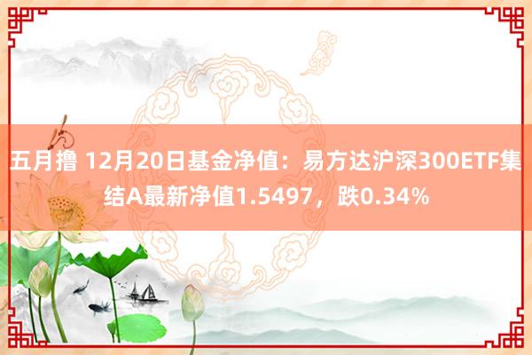 五月撸 12月20日基金净值：易方达沪深300ETF集结A最新净值1.5497，跌0.34%