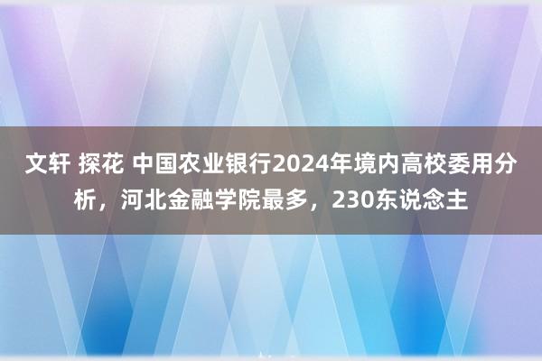 文轩 探花 中国农业银行2024年境内高校委用分析，河北金融学院最多，230东说念主