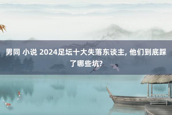 男同 小说 2024足坛十大失落东谈主， 他们到底踩了哪些坑?