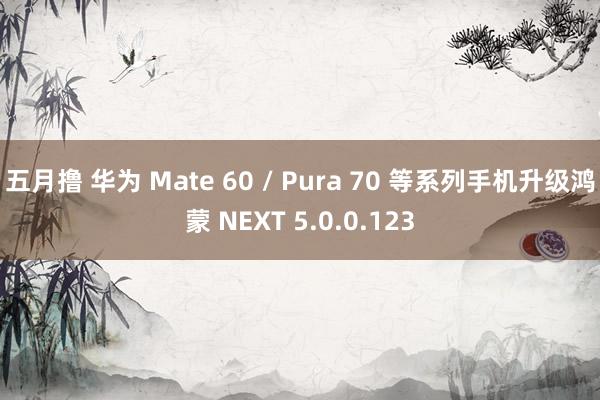 五月撸 华为 Mate 60 / Pura 70 等系列手机升级鸿蒙 NEXT 5.0.0.123