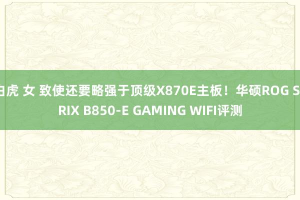 白虎 女 致使还要略强于顶级X870E主板！华硕ROG STRIX B850-E GAMING WIFI评测