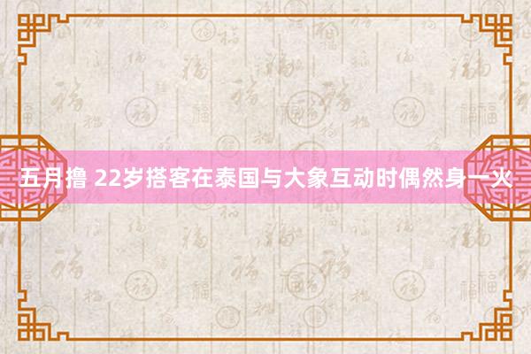 五月撸 22岁搭客在泰国与大象互动时偶然身一火