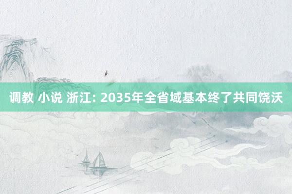 调教 小说 浙江: 2035年全省域基本终了共同饶沃