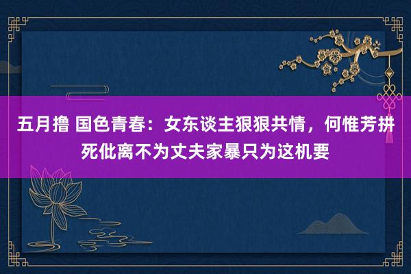 五月撸 国色青春：女东谈主狠狠共情，何惟芳拼死仳离不为丈夫家暴只为这机要