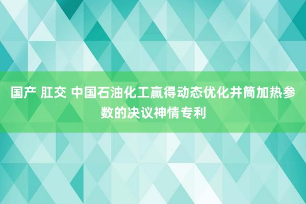 国产 肛交 中国石油化工赢得动态优化井筒加热参数的决议神情专利