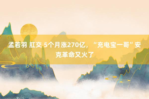 孟若羽 肛交 5个月涨270亿，“充电宝一哥”安克革命又火了