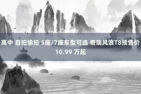 高中 自拍偷拍 5座/7座车型可选 奇瑞风浪T8预售价10.99 万起