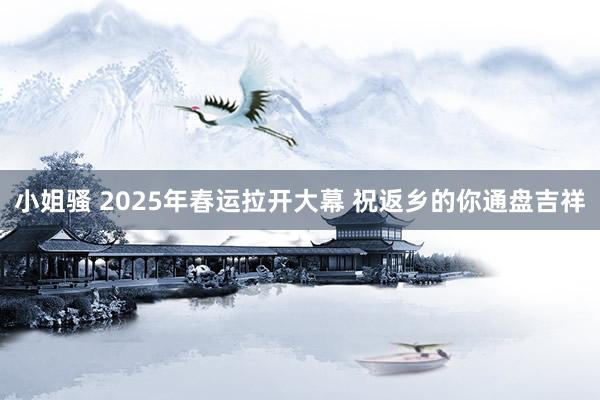 小姐骚 2025年春运拉开大幕 祝返乡的你通盘吉祥