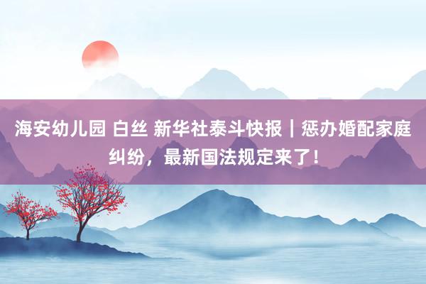 海安幼儿园 白丝 新华社泰斗快报｜惩办婚配家庭纠纷，最新国法规定来了！